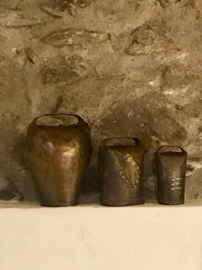 Apartmán Casa Mingot Sxvi Anciles Benasque Exteriér fotografie